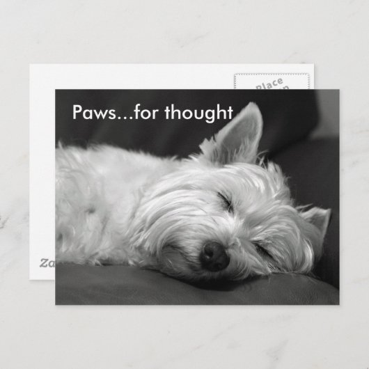 Schattigee Westie Briefkaarten (Voorkant / Achterkant)
