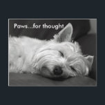 Schattigee Westie Briefkaarten<br><div class="desc">Dit zijn prachtige schattige Westie (West Highland White) Terriër briefkaarten. Het afbeelding shows een prachtige Westie hond in slaap met de formulering 'Pootjes... voor gedachte' in de linker bovenhoek. Geweldig om te verzenden voor elke gelegenheid.</div>