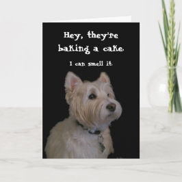 Schattigee Westie Verjaardag Kaart