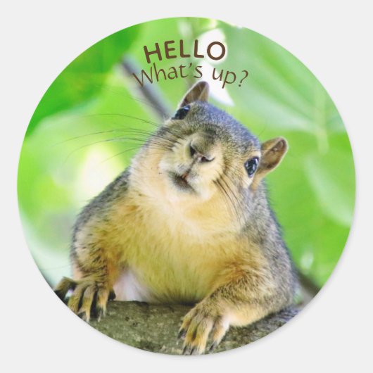 Schattigee What's Up Envelope Seals Ronde Sticker (Voorkant)