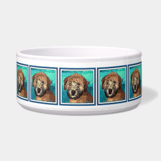 Schattigee Wheaten Terrier Puppy Dog met Nat Gezic Voerbakje