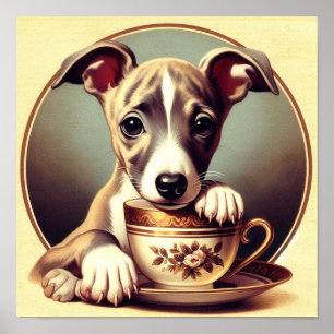 Schattigee Whippet Puppy Poster