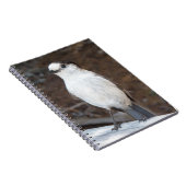 Schattigee Whiskey Jack Bird Natuur Foto Notitieboek (Rechterzijde)