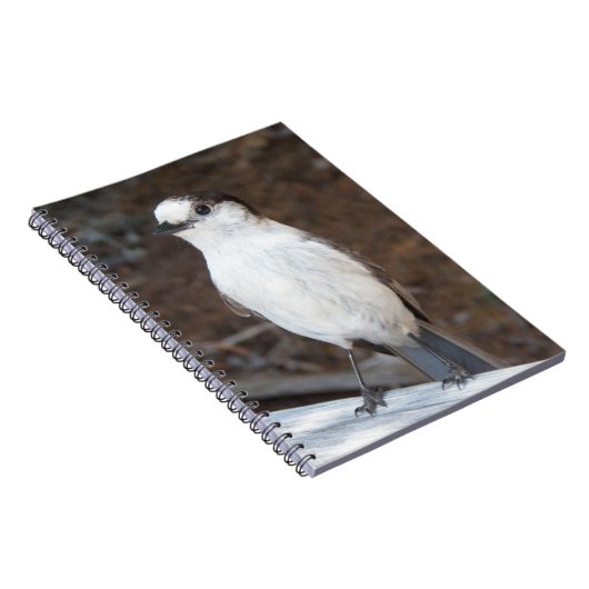 Schattigee Whiskey Jack Bird Natuur Foto Notitieboek (Rechterzijde)