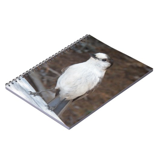 Schattigee Whiskey Jack Bird Natuur Foto Notitieboek (Linkerzijde)