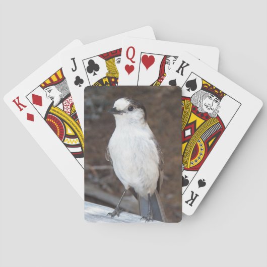 Schattigee Whiskey Jack Bird Pokerkaarten (Achterkant)