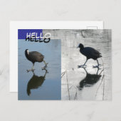 Schattigee wiet op de ijskap. HALLO Briefkaart (Voorkant / Achterkant)