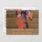 Schattigee wijziging nieuw thuisadres aankondigingskaart (Voorkant / Achterkant)