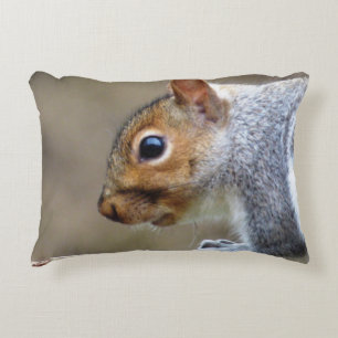 Schattigee wilde grijze eekhoorn accent kussen