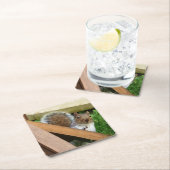 Schattigee wilde grijze eekhoorn (VK) Kartonnen Onderzetters (Insitu)