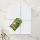 Schattigee wilde paardensnede. Tekst cadeau Label Cadeaulabel (Met Touw)