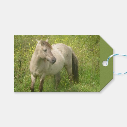 Schattigee wilde paardensnede. Tekst cadeau Label Cadeaulabel (Voorkant (Horizontaal))