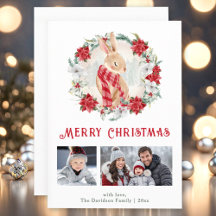 Schattigee Winter Bunny Poinsettia Kerstmis Fotoka