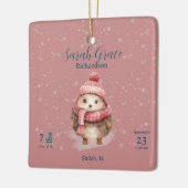 Schattigee winter egel baby meisje geboorte statis keramisch ornament (Links)