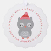 Schattigee Winter Owl Fotovakantie Ornament Kaart (Voorkant)