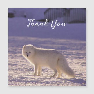 Schattigee winterfotografie van White Arctic Fox