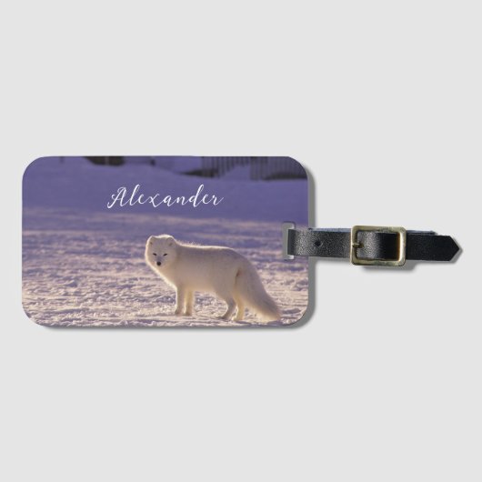 Schattigee winterfotografie van White Arctic Fox Bagagelabel (Voorkant (horizontaal))