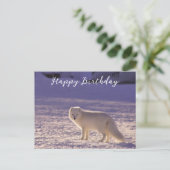 Schattigee winterfotografie van White Arctic Fox Briefkaart (Staand voorkant)