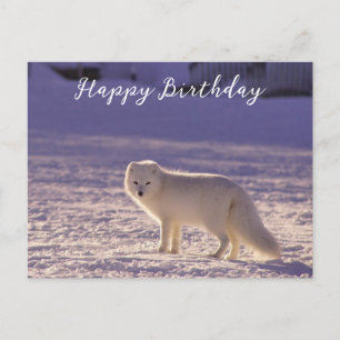 Schattigee winterfotografie van White Arctic Fox Briefkaart