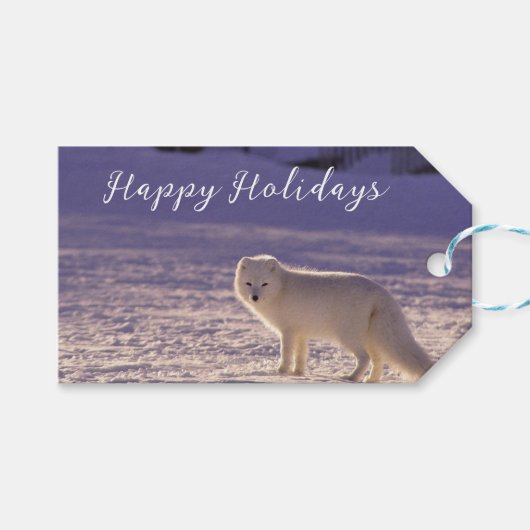 Schattigee winterfotografie van White Arctic Fox Cadeaulabel (Voorkant (Horizontaal))