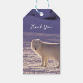 Schattigee winterfotografie van White Arctic Fox Cadeaulabel (Voorkant)