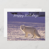 Schattigee winterfotografie van White Arctic Fox Feestdagenkaart (Voorkant / Achterkant)