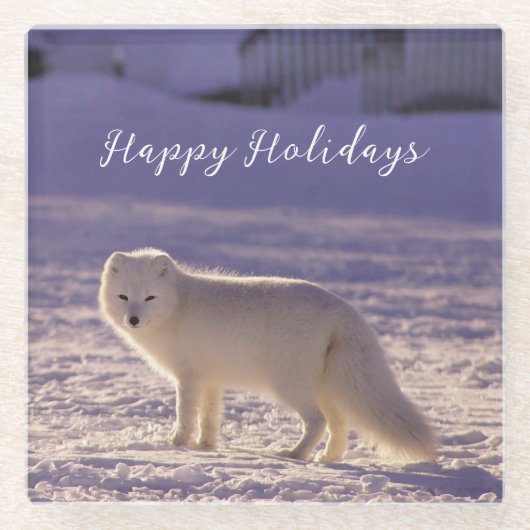 Schattigee winterfotografie van White Arctic Fox Glazen Onderzetter (Voorkant)