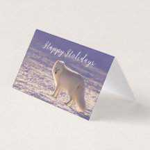 Schattigee winterfotografie van White Arctic Fox