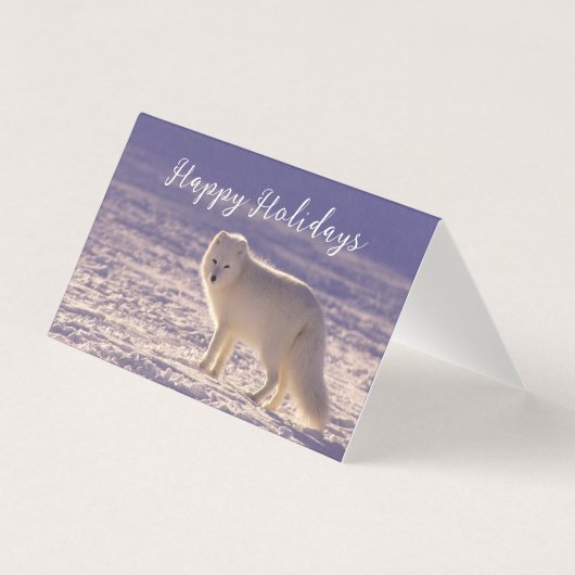 Schattigee winterfotografie van White Arctic Fox Kaart (Voorkant)