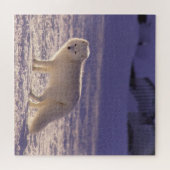 Schattigee winterfotografie van White Arctic Fox Legpuzzel (Horizontaal)