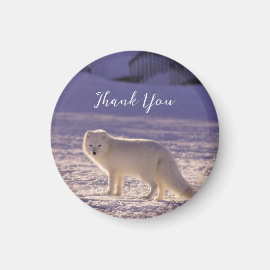 Schattigee winterfotografie van White Arctic Fox Magneet (Voorkant)