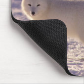 Schattigee winterfotografie van White Arctic Fox Muismat (Hoek)