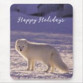 Schattigee winterfotografie van White Arctic Fox Muismat (Voorkant)