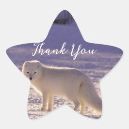 Schattigee winterfotografie van White Arctic Fox Ster Sticker