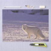 Schattigee winterfotografie van White Arctic Fox Tissuepapier (Craft)