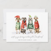 Schattigee winterhonden trui Furry & Bright Christ Feestdagenkaart (Voorkant)