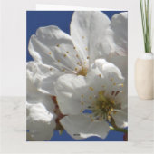 Schattigee witte bloemen gevouwen Wenskaart Kaart (Achterkant)