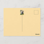 Schattigee witte en zwarte baby konijntjes in een  briefkaart (Achterkant)