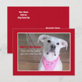 Schattigee witte hond met roze sjaal rode kerst feestdagenkaart (Voorkant / Achterkant)