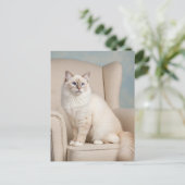 Schattigee Witte Kat Blauwe Ogen Briefkaart (Staand voorkant)