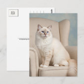 Schattigee Witte Kat Blauwe Ogen Briefkaart (Voorkant / Achterkant)
