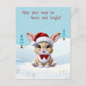 Schattigee Witte Kat in Sneeuwkerst Briefkaart (Voorkant)