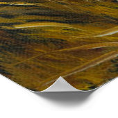 Schattigee witte kat Mooie groene ogen Rode neus Poster (Hoek)