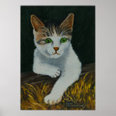 Schattigee witte kat Mooie groene ogen Rode neus Poster (Voorkant)