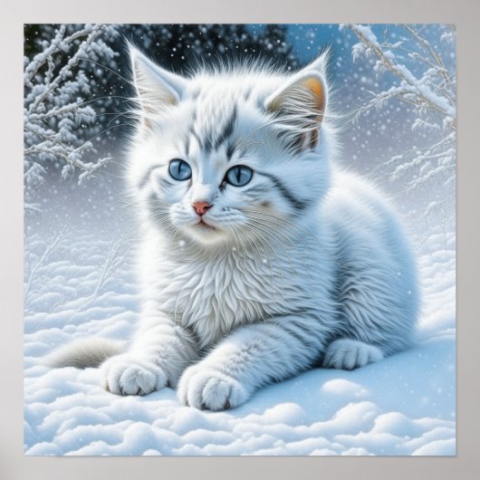 Schattigee witte kat spelen in de sneeuw poster (Voorkant)