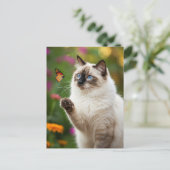 Schattigee Witte Kat Vlinder Blauwe Ogen Briefkaar Briefkaart (Staand voorkant)