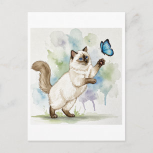 Schattigee Witte Kat Vlinder Blauwe Ogen Briefkaar Briefkaart