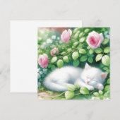 Schattigee witte kitten napping onder rozenstruik (Voorkant / Achterkant)