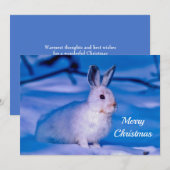 Schattigee Witte Konijn Sneeuw Foto Kerst Flat Feestdagenkaart (Voorkant / Achterkant)