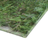 Schattigee witte pluizige schapen eten snijplank (Hoek)